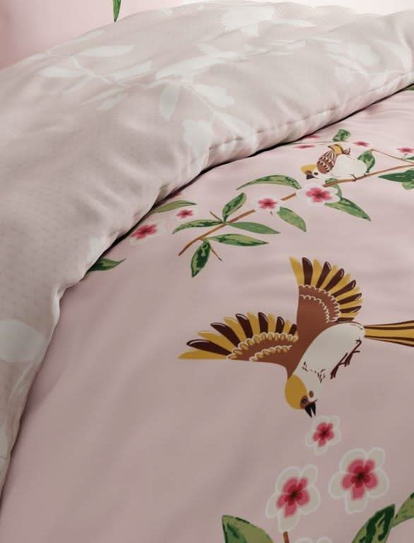 סט-100-כותנה-מניה-הצעירה