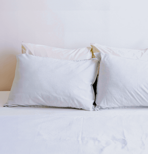 דיל מפנק: שמיכת פוך זוגית + 2 כריות היפואלרגניות במחיר מיוחד