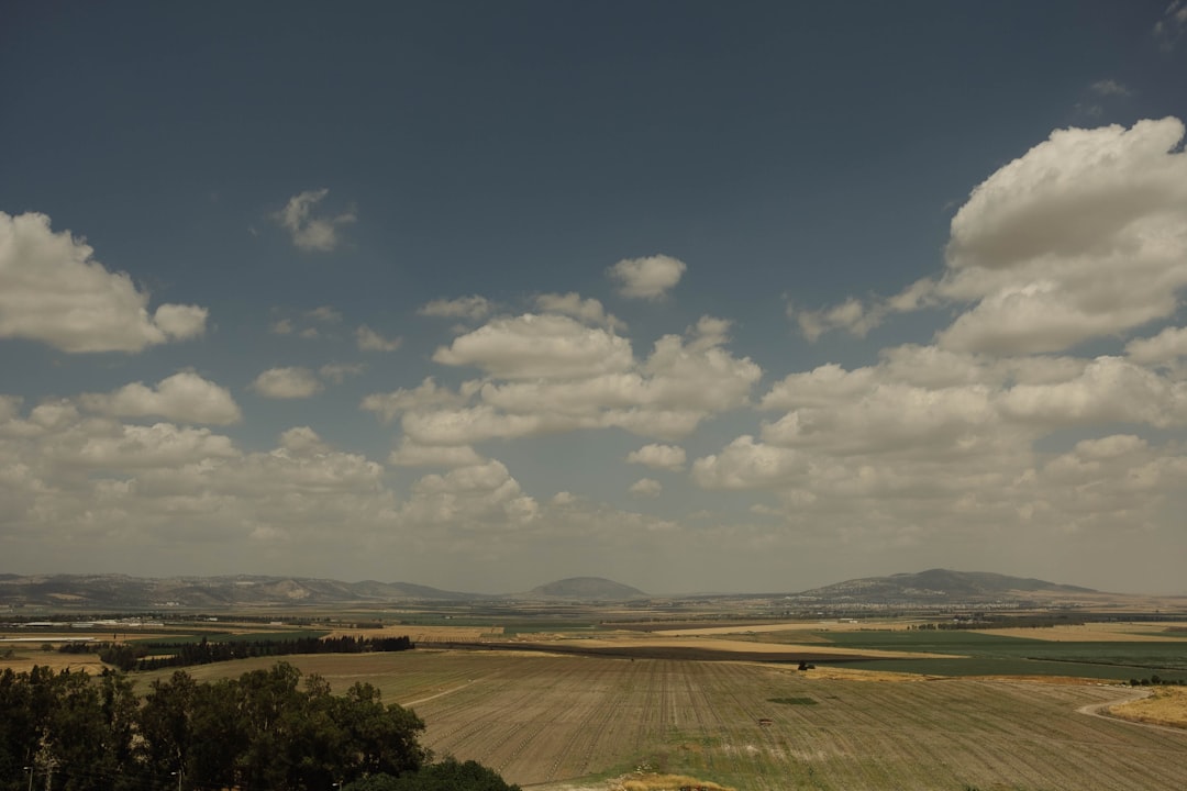 הסיפור של פספרטו – מיוצר בישראל: אמנות השינה שנולדת כאן