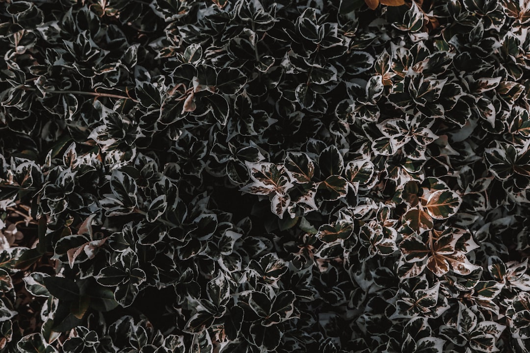 מזרנים ואלרגיות – פתרונות מומלצים למניעת גירויים ושדרוג איכות השינה