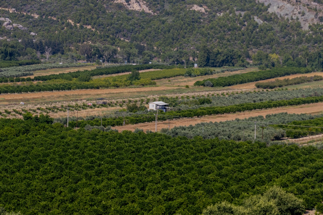 יתרונות של מזרן מיוצר בישראל: למה לבחור מקומי משדרג את השינה