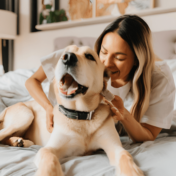 שינה משותפת עם חיות המחמד: האם זו אפשרות טובה עבורכם? - פספרטו