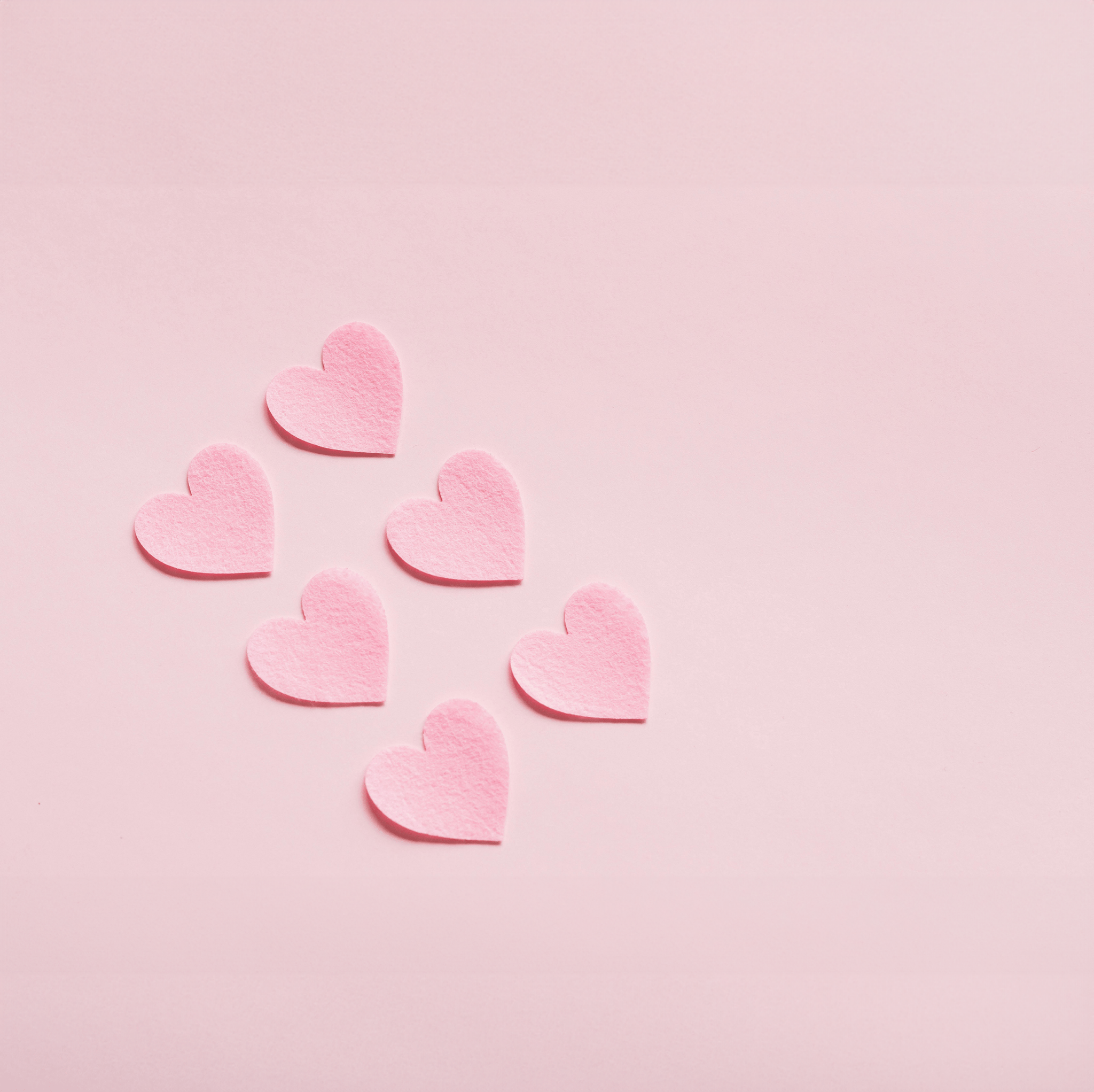 המגבות האהובות ביותר - פספרטו