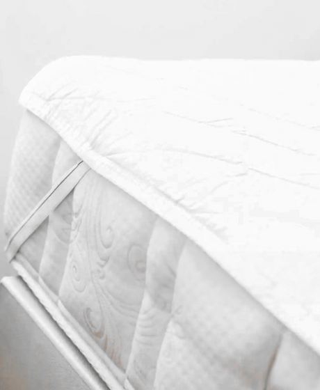 ריפודיות ומגן מזרן - פספרטו