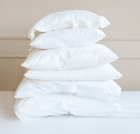 כריות במילוי פלומה ונוצות - פספרטו