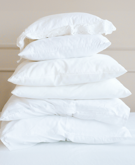 כריות במילוי פלומה ונוצות - פספרטו