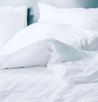 שמיכת פוך במילוי פלומה / נוצות - פספרטו