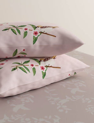 סט-100-כותנה-מניה-הצעירה