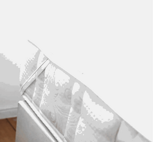 פספרטו פלוס - פספרטו