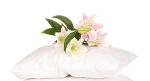 פספרטו – כרית לילדים פלומה  - בדרגת תמיכה בינונית-קשה 50/70