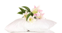 פספרטו – כרית פוך – בדרגת תמיכה רכה