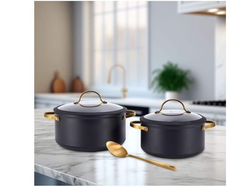 פספרטו – סט סיר 20+סיר 24+כף הגשה Black &Gold מבית MICHSAF black