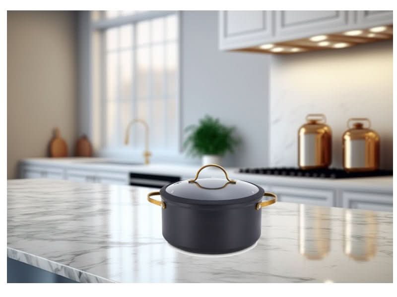 פספרטו – סיר 24 ס"מ Black &Gold מבית MICHSAF black